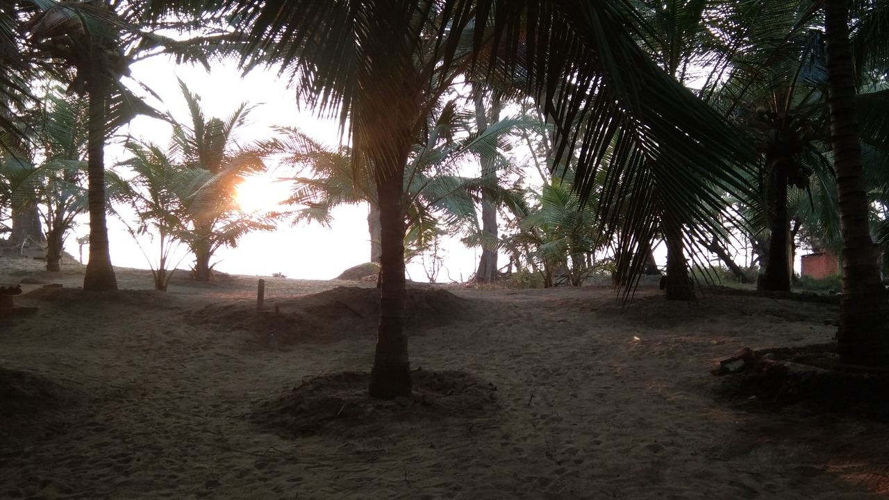 Photo of Outdoor in Malvan