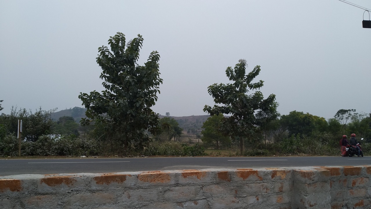 Photo of Outdoor in Bankura