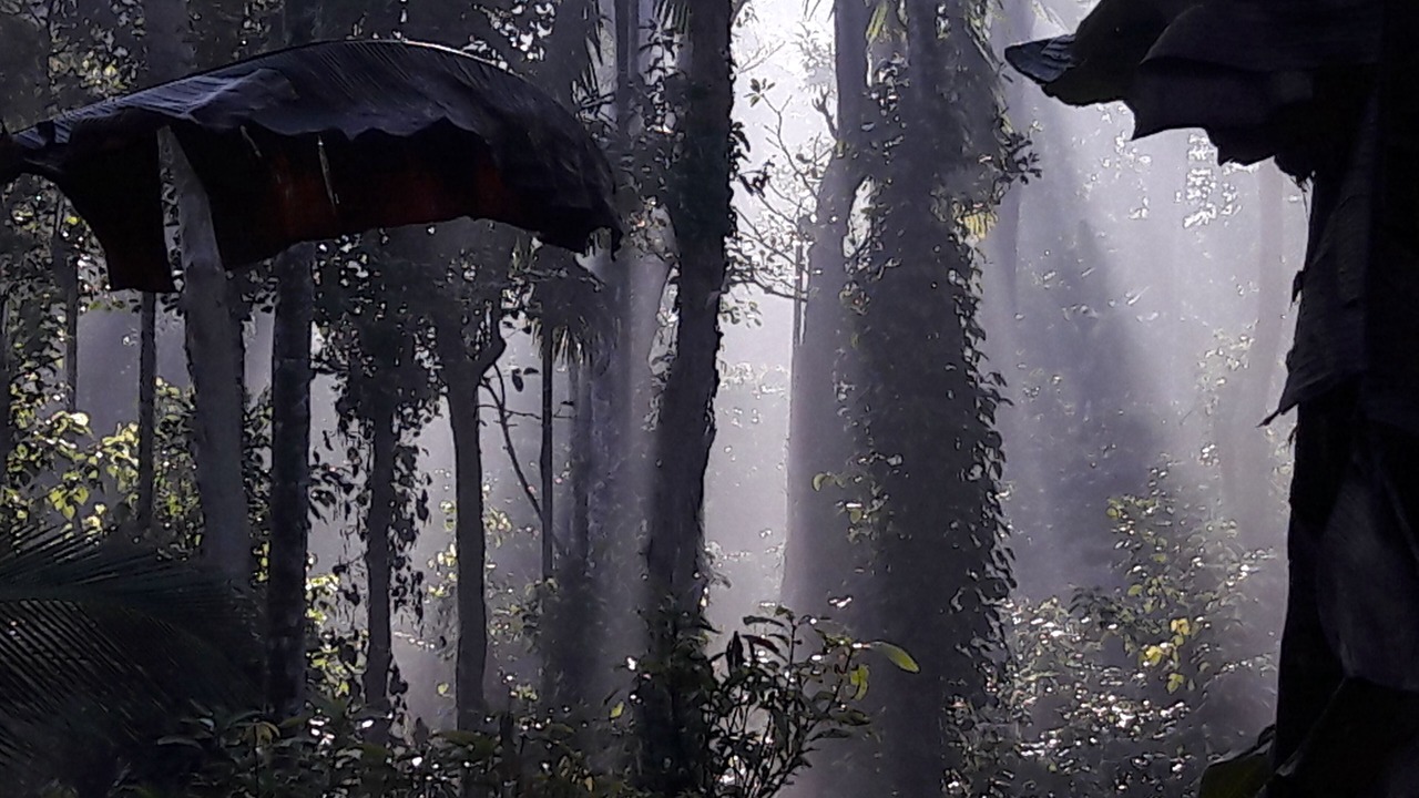Photo of Outdoor in Kolagappara