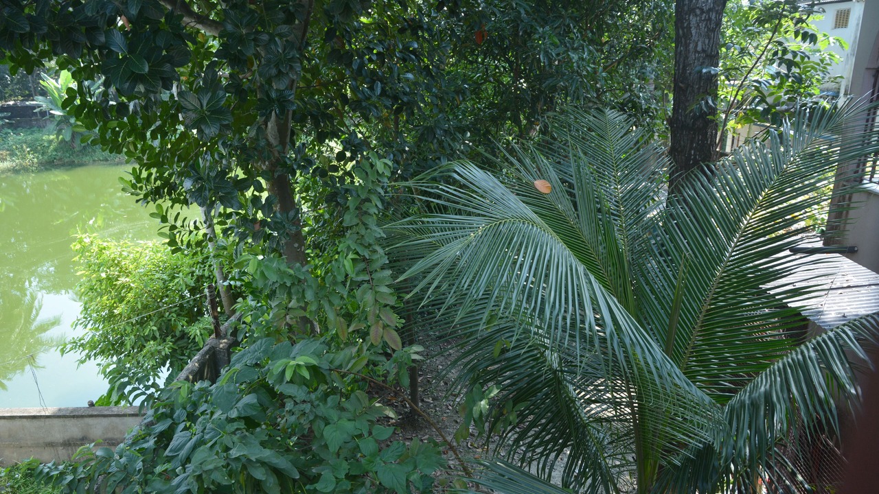 Photo of Outdoor in Baruipur