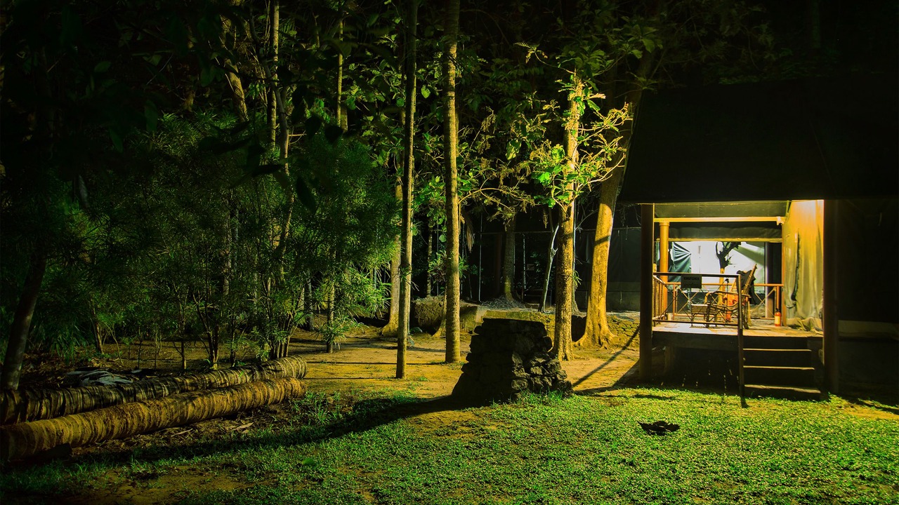 Photo of Outdoor in Thattekkad