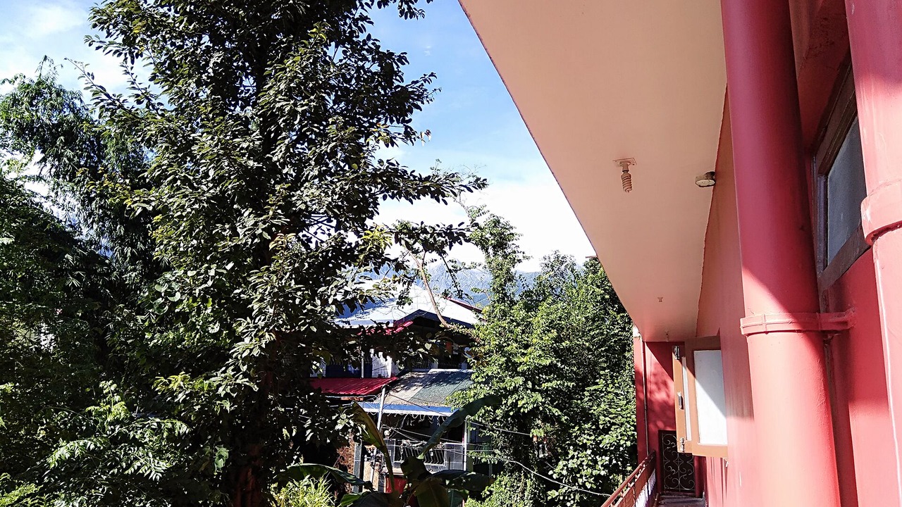 Photo of Outdoor in Palampur