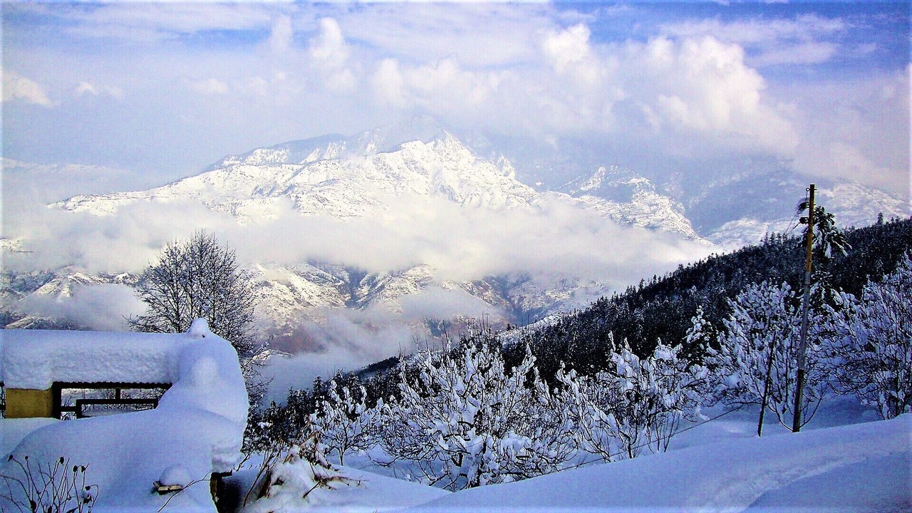 Photo of Others in Mandhol