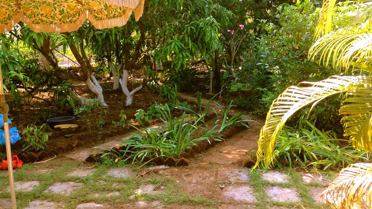 Photo of Outdoor in Alibaug