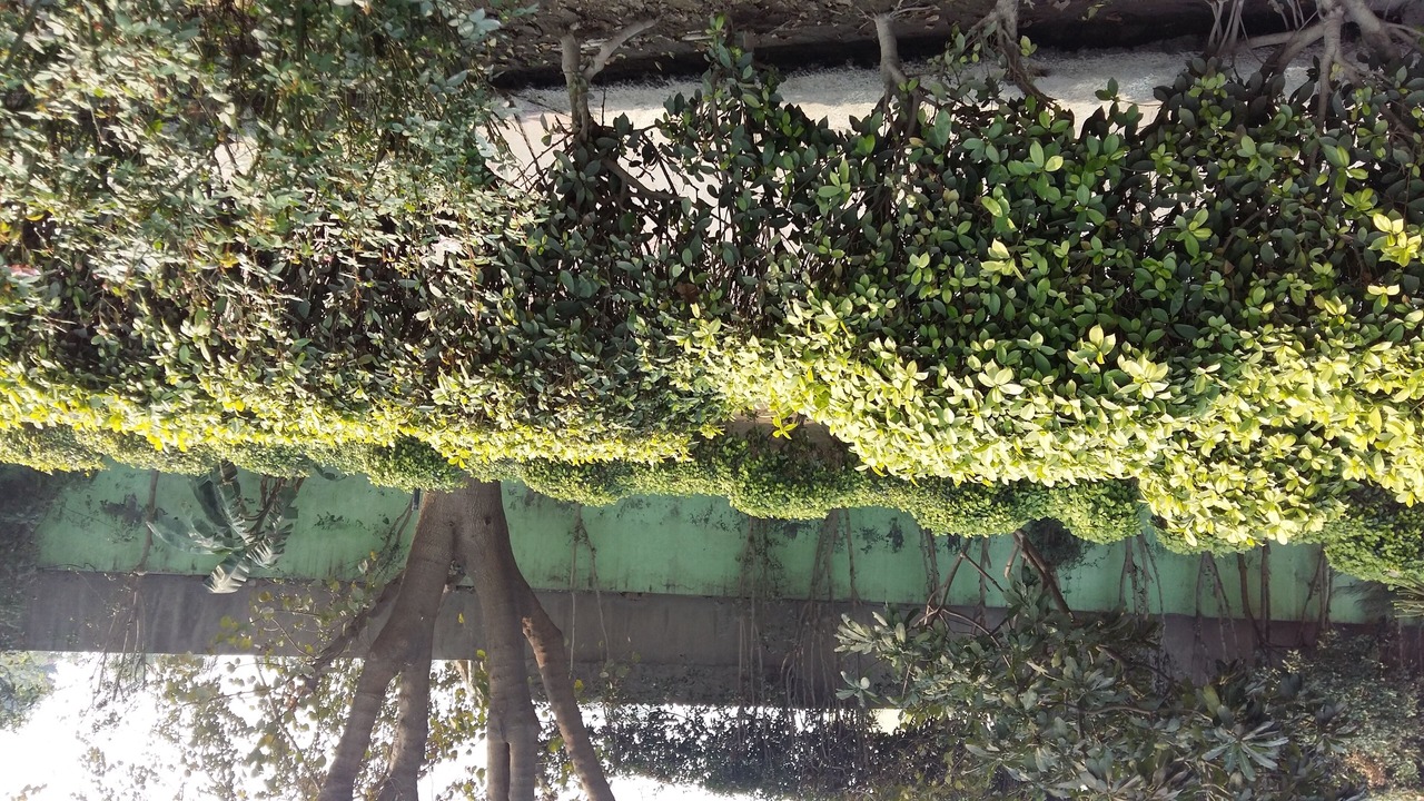 Photo of Outdoor in Delhi