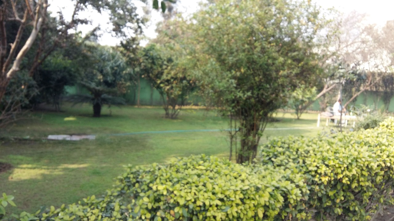 Photo of Outdoor in Delhi
