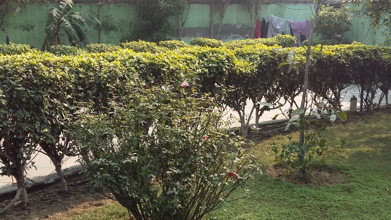Photo of Outdoor in Delhi