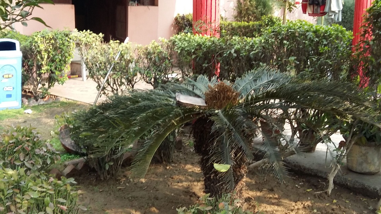 Photo of Outdoor in Delhi
