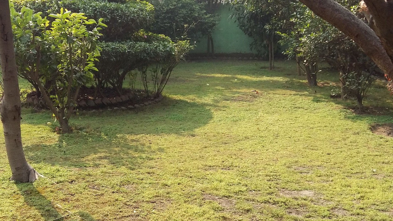 Photo of Outdoor in Delhi