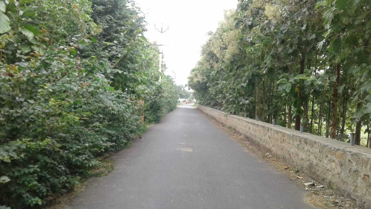 Photo of Outdoor in Tiruvannamalai