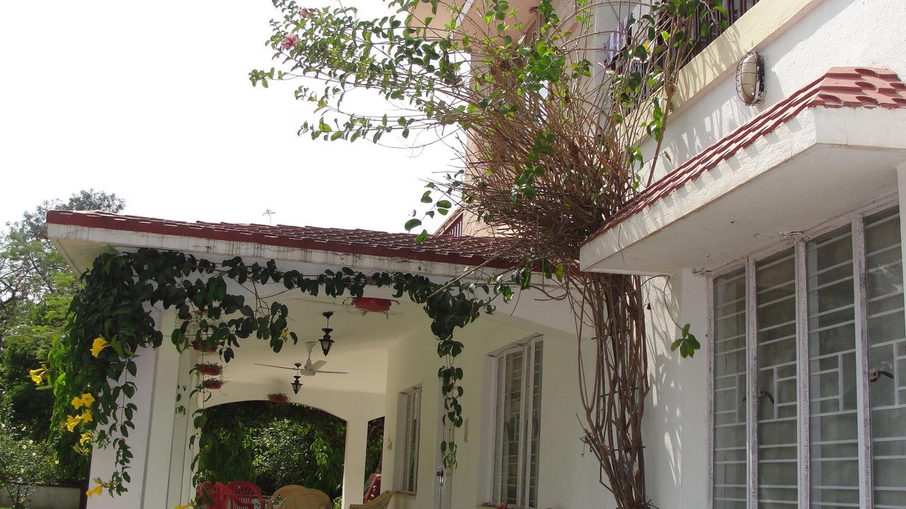 Photo of Outdoor in Bolpur