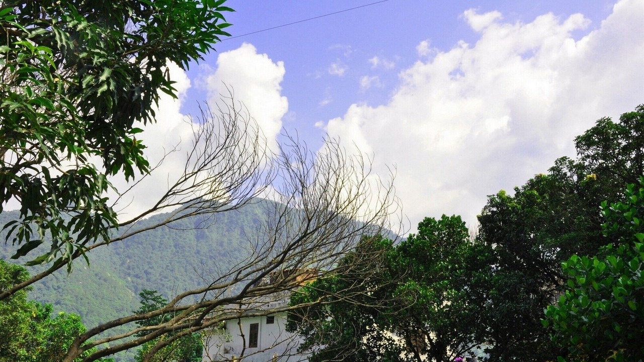 Photo of Outdoor in Tapovan