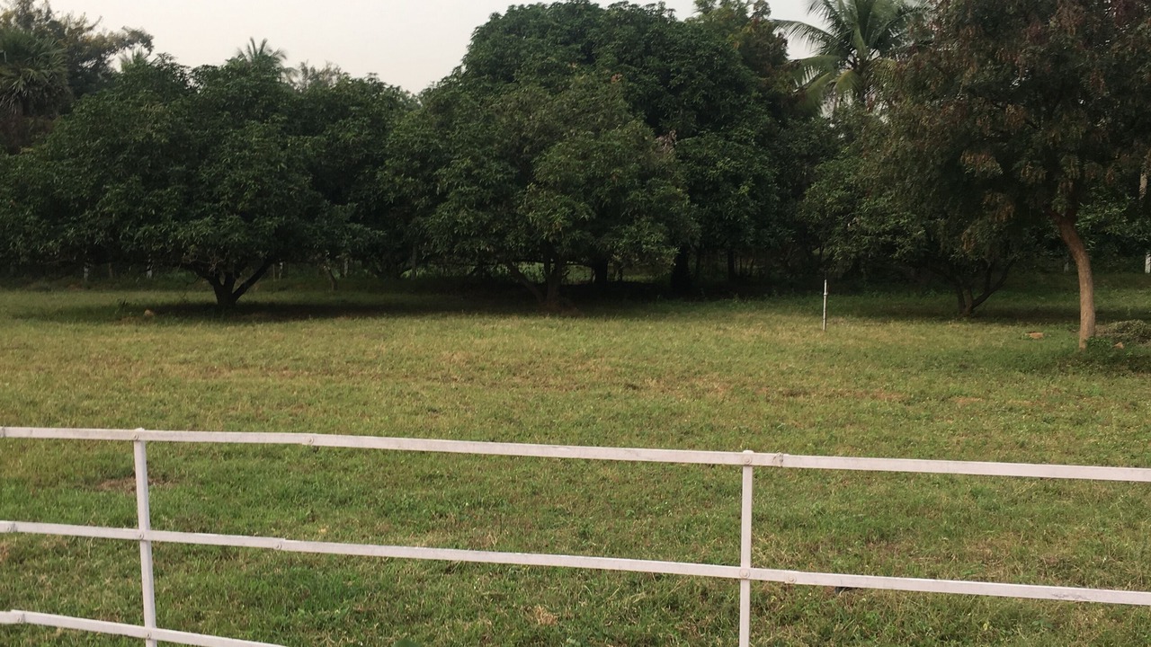 Photo of Outdoor in Gudiyatham