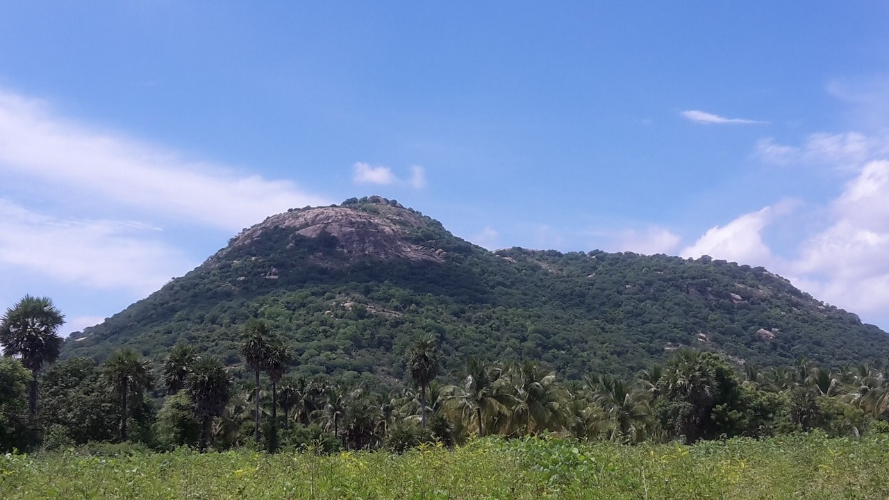 Photo of Outdoor in Gudiyatham