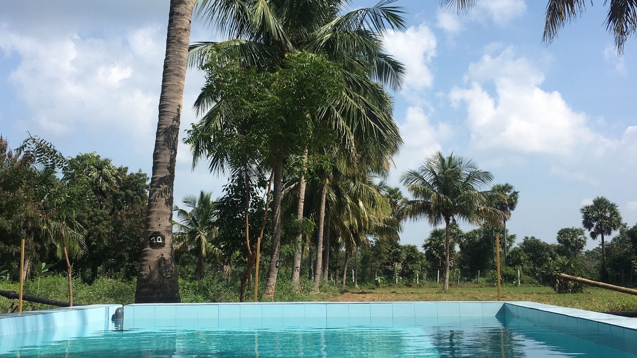 Photo of Outdoor in Gudiyatham