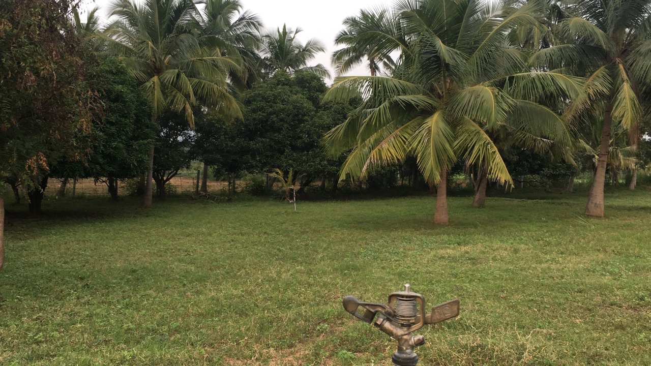 Photo of Outdoor in Gudiyatham