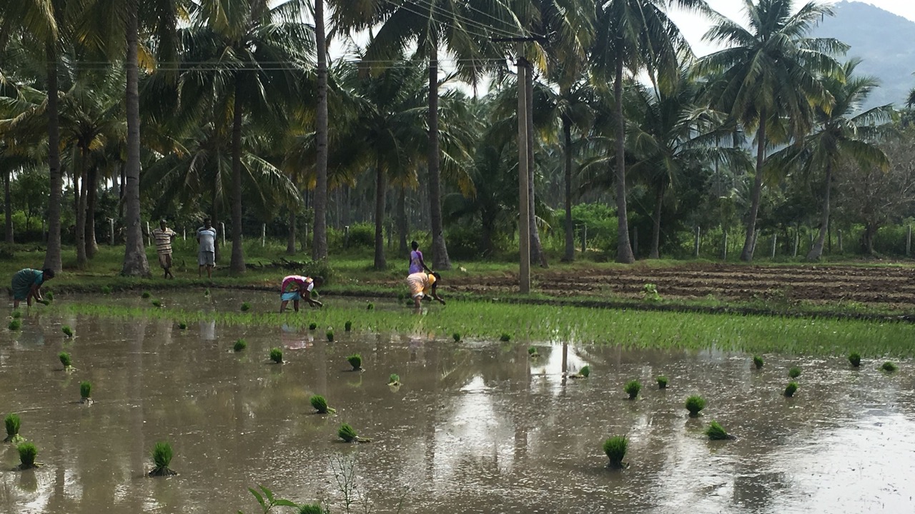 Photo of Outdoor in Gudiyatham