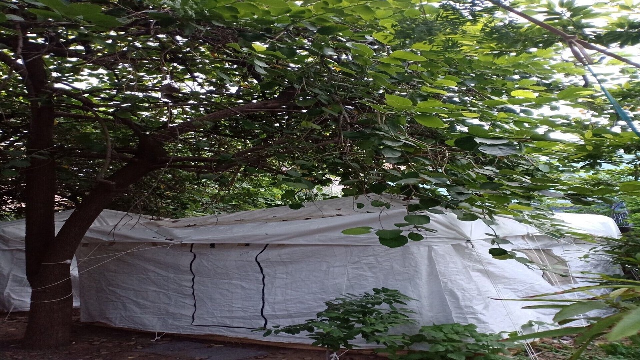 Photo of Outdoor in Jodhpur