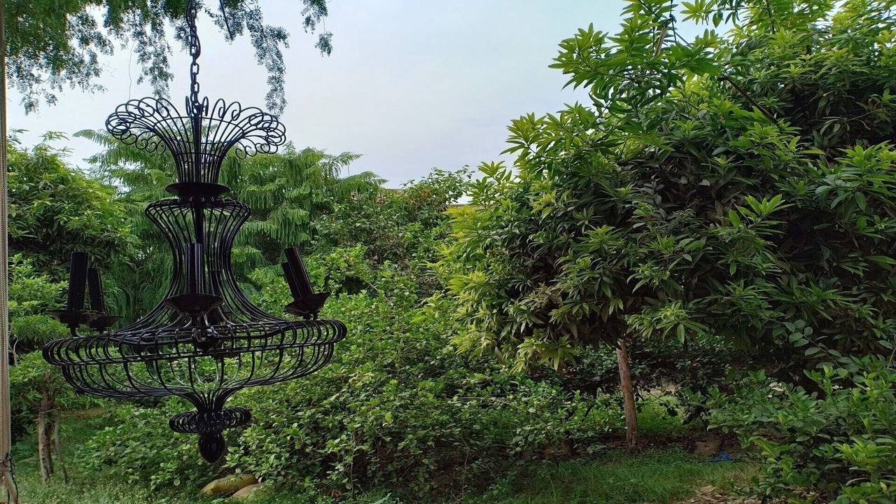 Photo of Outdoor in Jodhpur
