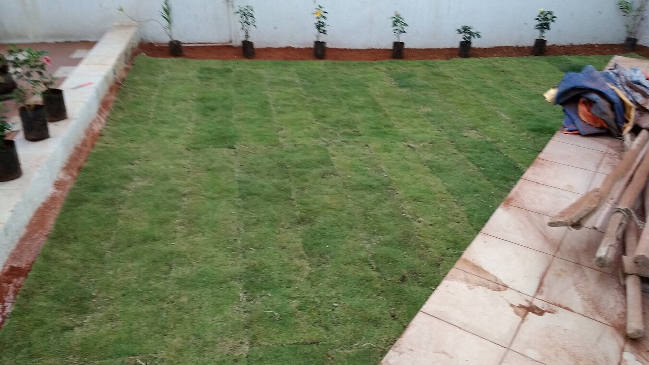 Photo of Patio Balcony in Alibaug