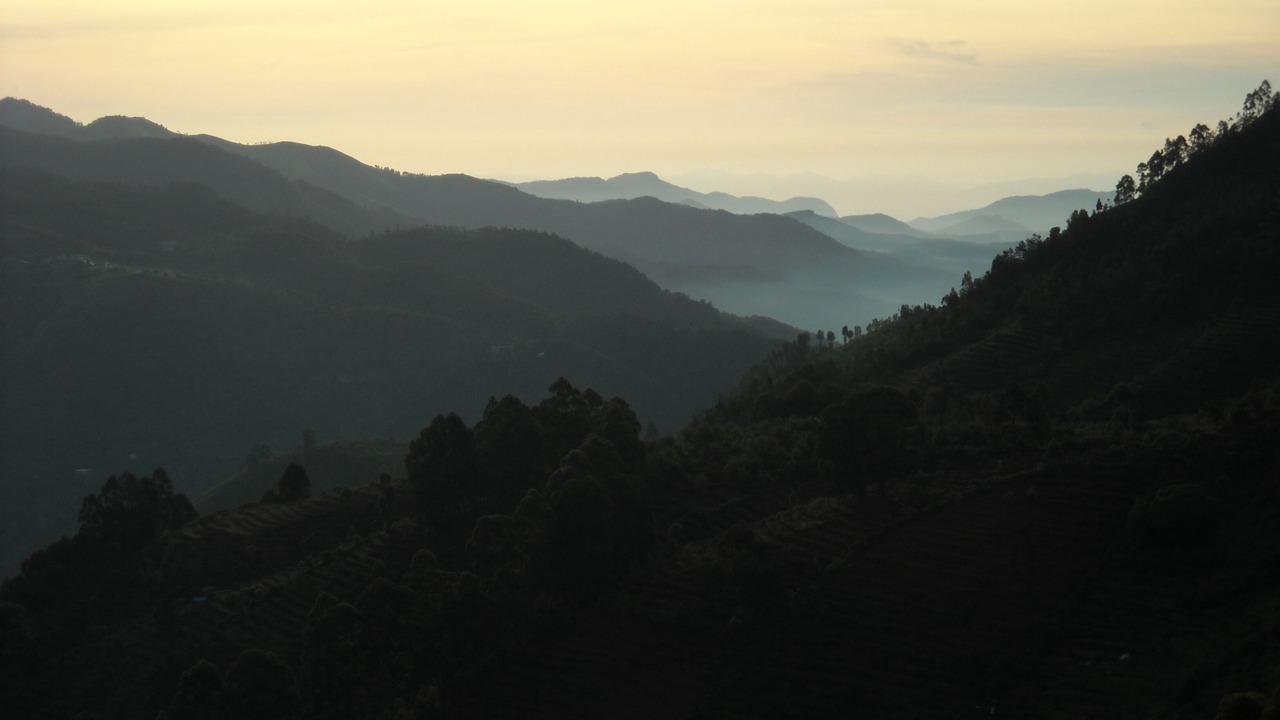 Photo of Others in Kodaikanal