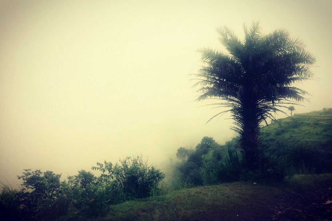 Photo of Outdoor in Kurunji