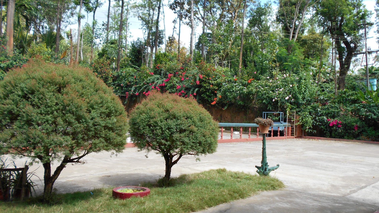 Photo of Outdoor in Virarajendrapet