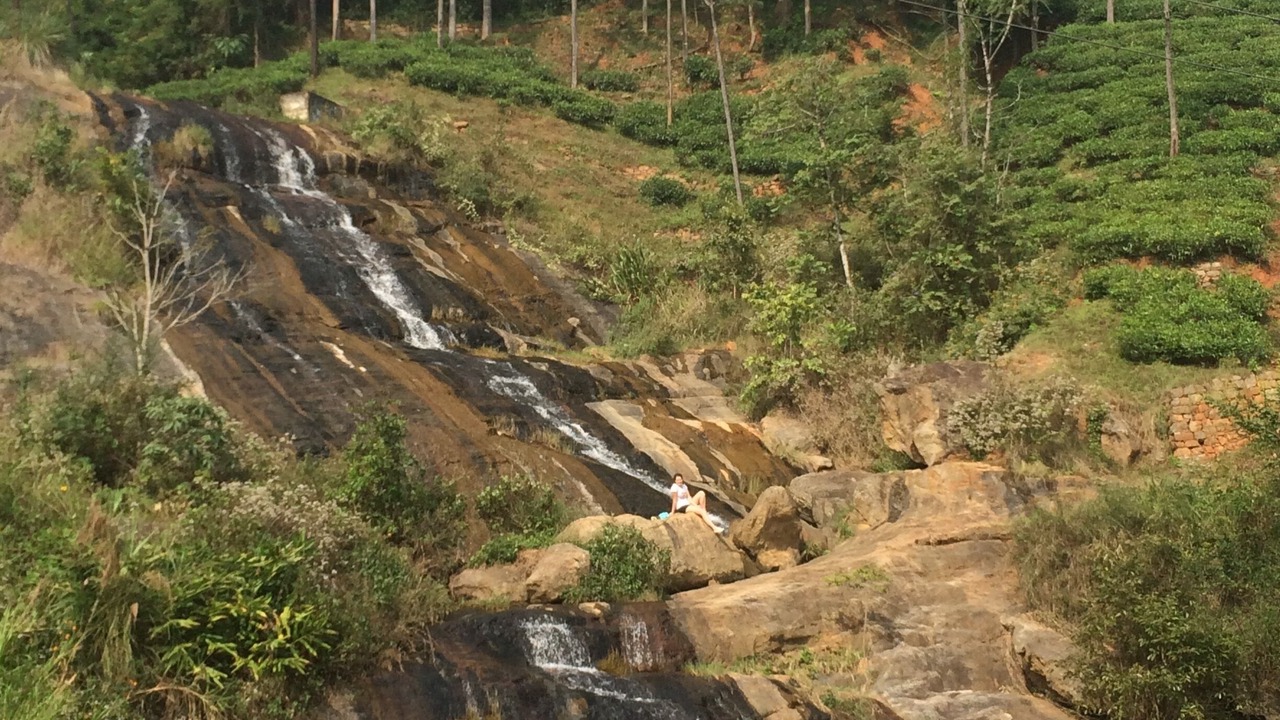 Photo of Others in Coonoor