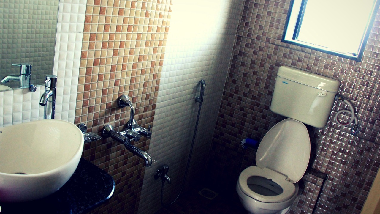 Photo of Bathroom in Medha
