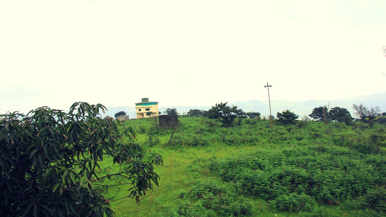 Photo of Outdoor in Medha