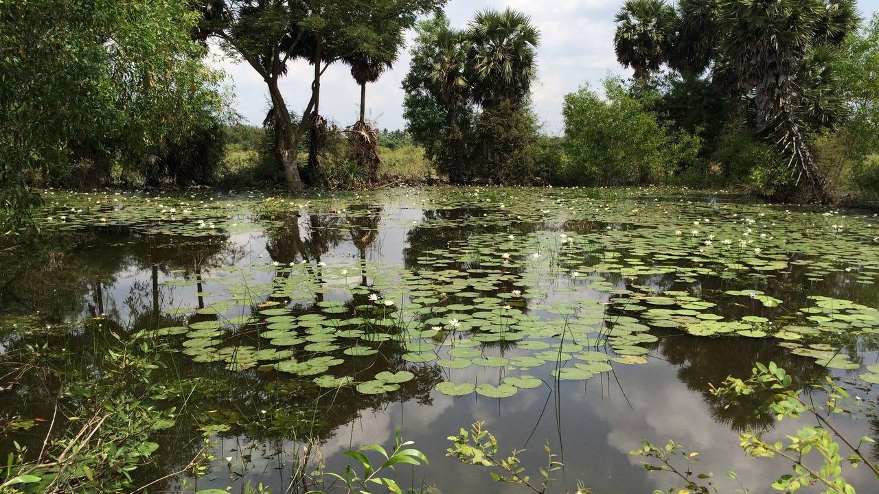Photo of Others in Poothurai