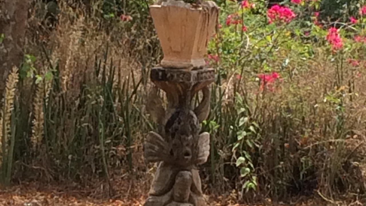 Photo of Others in Poothurai