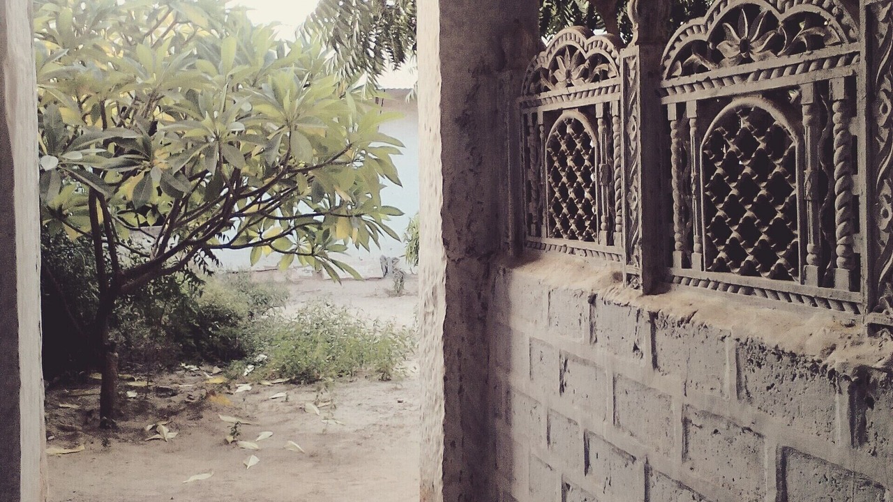 Photo of Outdoor in Rohet
