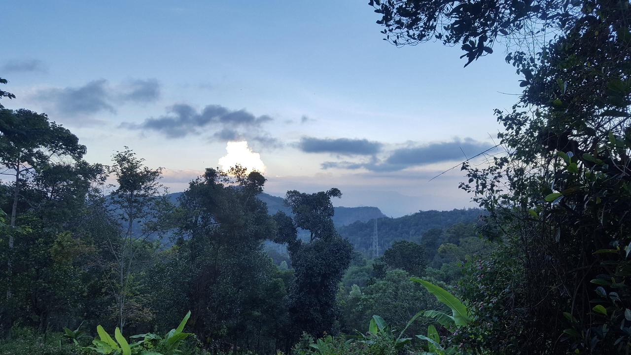 Photo of Outdoor in Kodaikanal