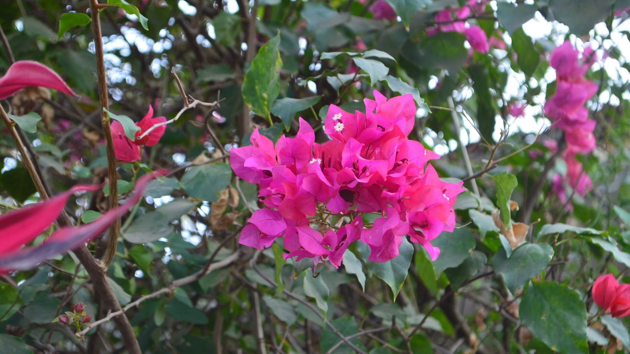 Photo of Outdoor in Wadgaon