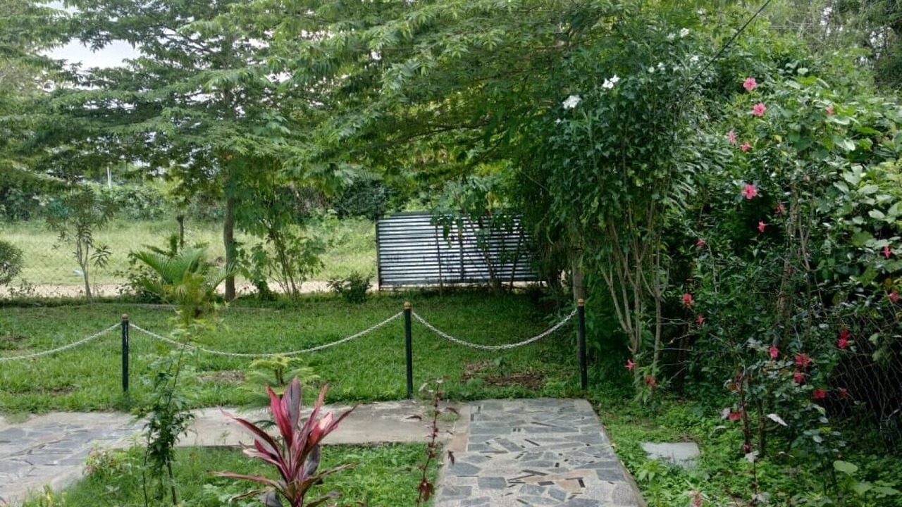 Photo of Outdoor in Masinagudi