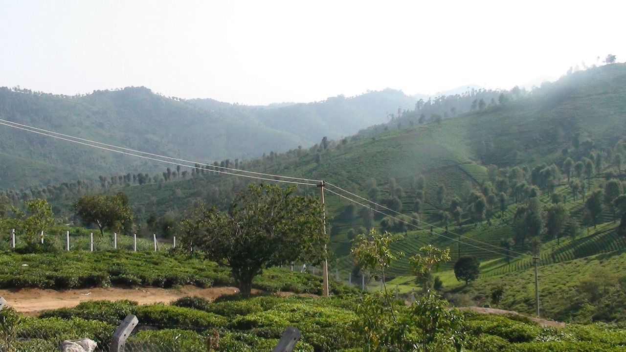 Photo of Outdoor in Huligal