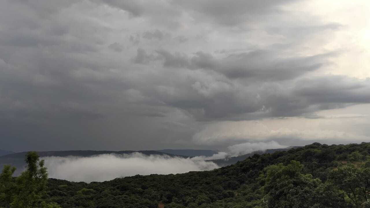 Photo of Others in Mahabaleshwar