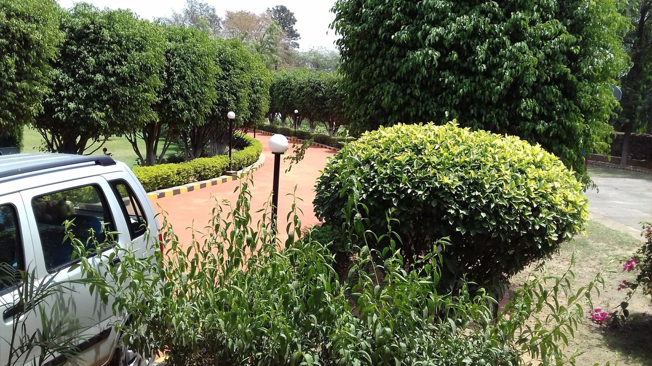Photo of Outdoor in Gurugram