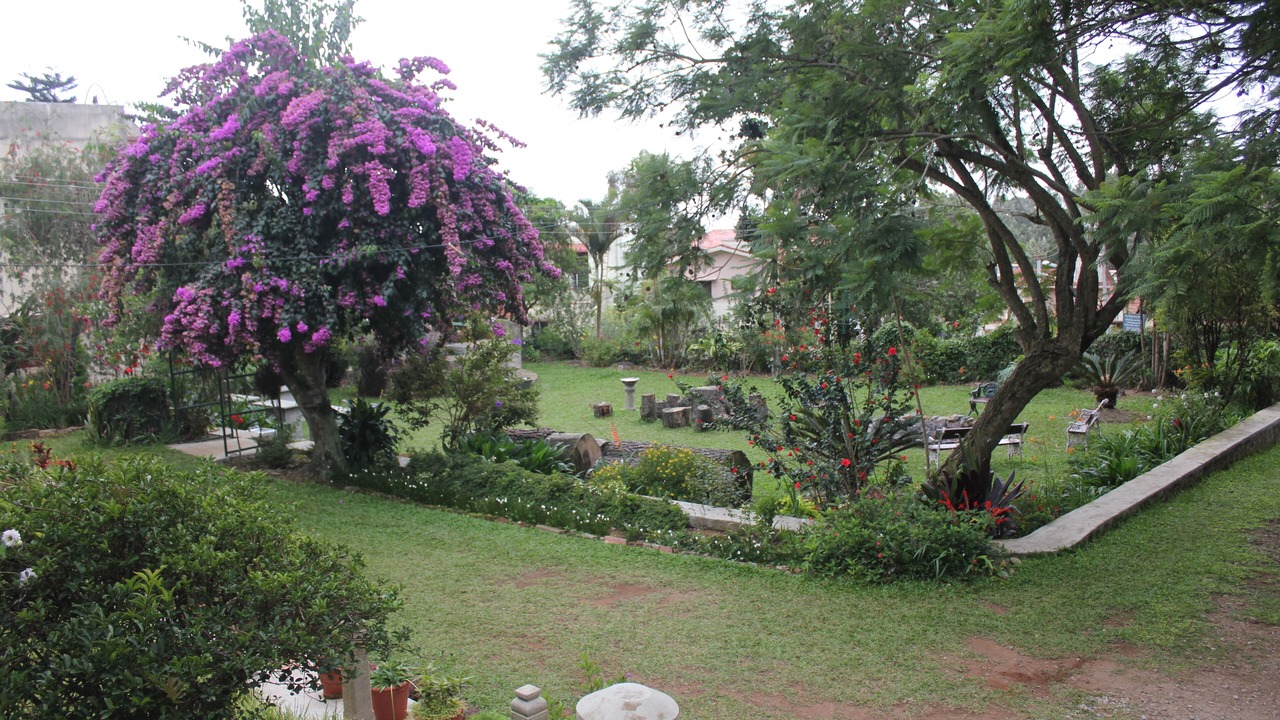 Photo of Others in Yercaud