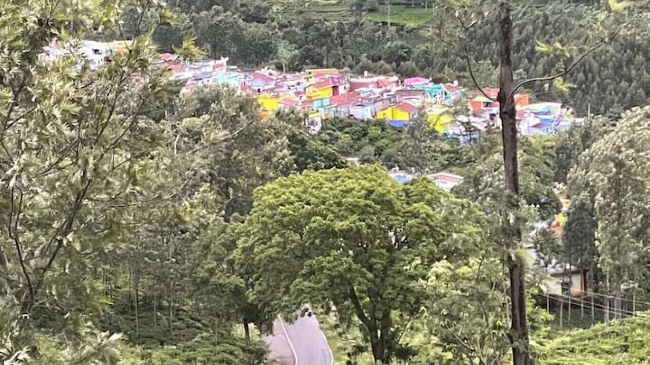 Photo of Others in Wellington
