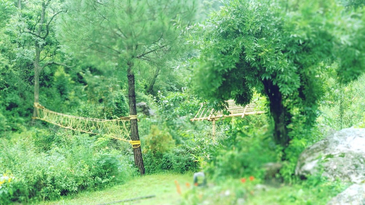 Photo of Others in Naina Range