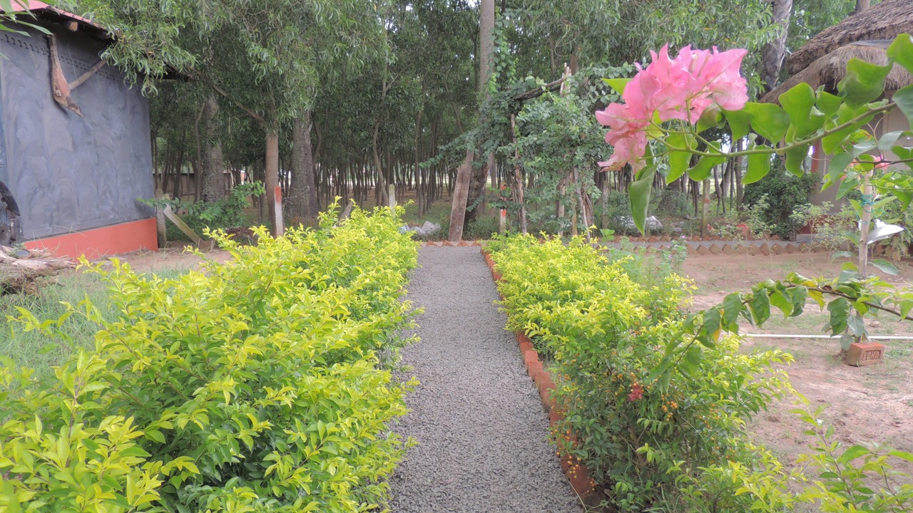 Photo of Outdoor in Daronda