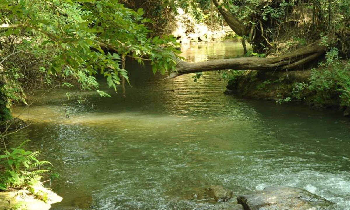 Photo of Outdoor in Masinagudi