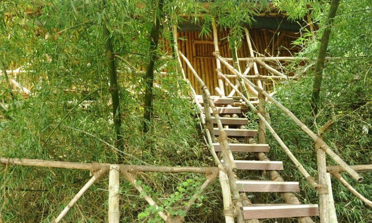 Photo of Outdoor in Masinagudi