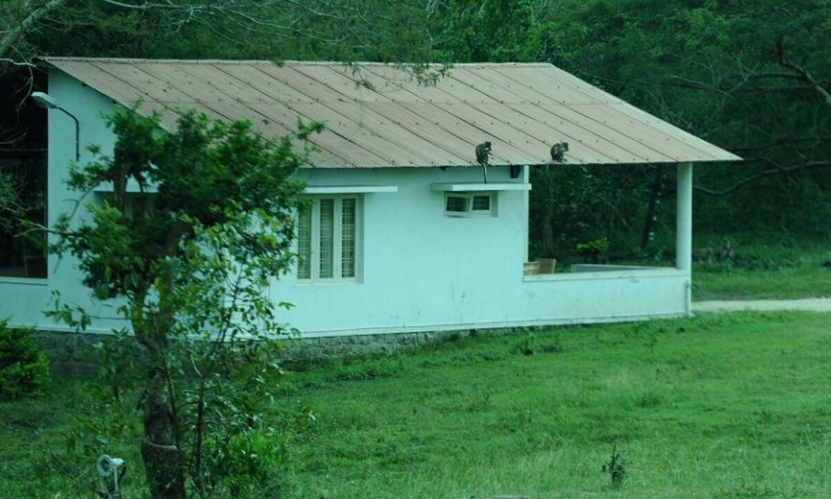 Photo of Outdoor in Masinagudi
