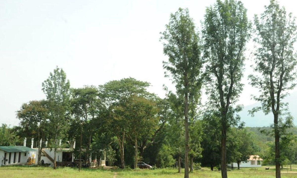 Photo of Outdoor in Masinagudi