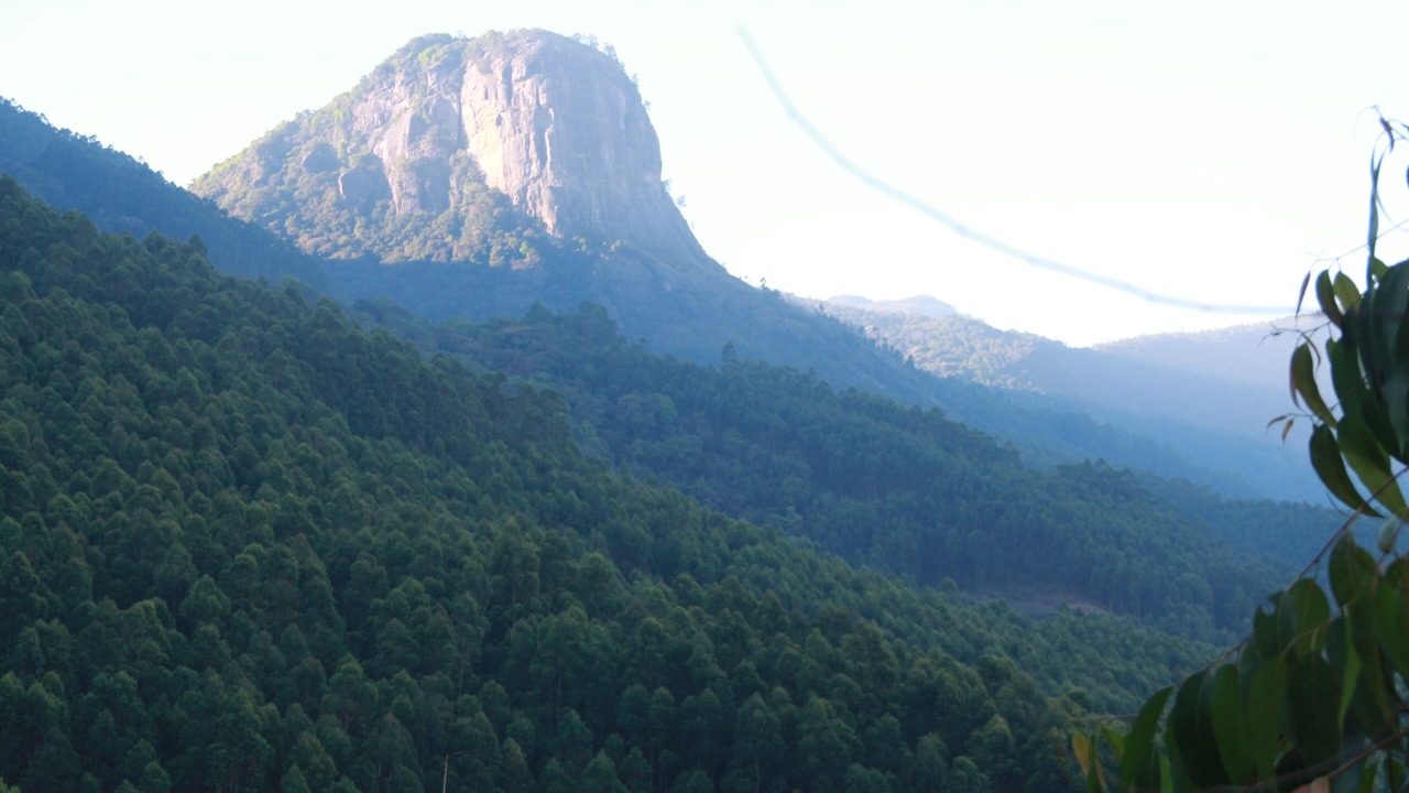 Photo of Others in Kanthalloor