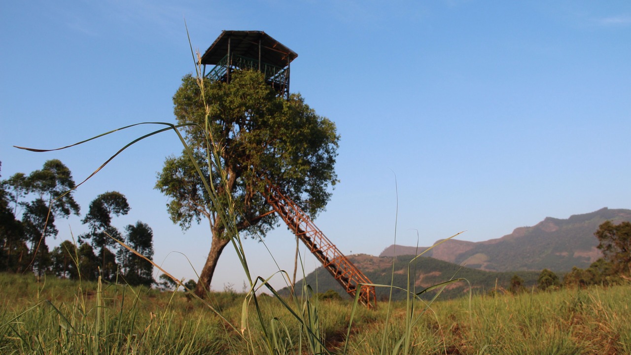 Photo of Outdoor in Kanthalloor