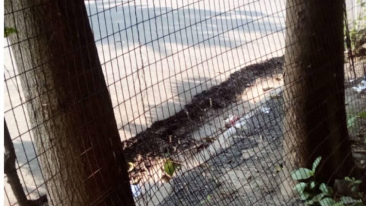 Photo of Outdoor in Sector 1